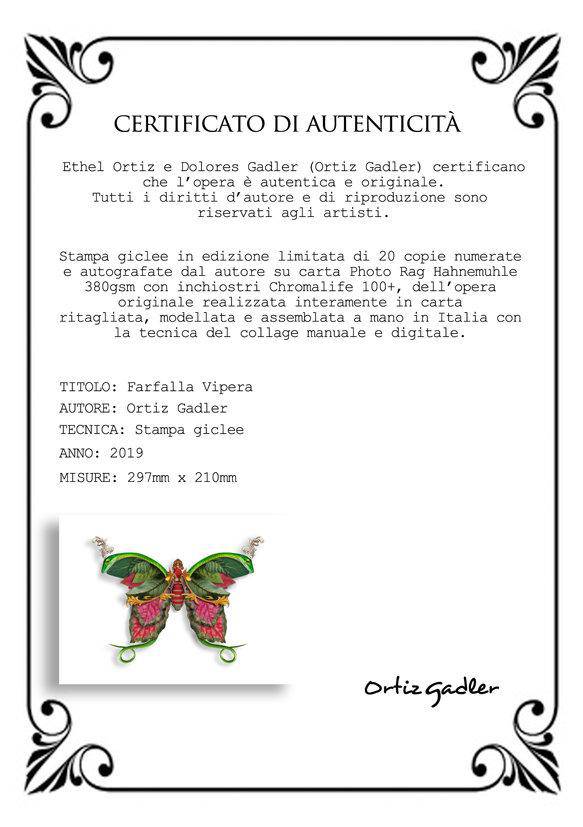 Farfalla Vipera Fine Art - Found in Italy